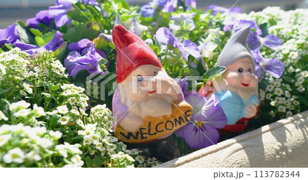 お花畑にいるWelcomeボードを持った小人たち お花畑にいるWelcomeボードを持った小人たち 113782344