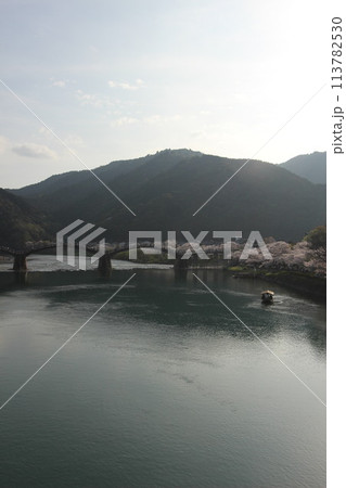 『錦帯橋とサクラ』桜 アップ 山口県岩国 #日本観光 Kintai Bridge 『錦帯橋とサクラ』桜 アップ 山口県岩国 #日本観光 Kintai Bridge 113782530