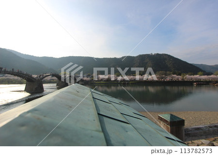 『錦帯橋とサクラ』桜 アップ 山口県岩国  #日本観光　Kintai Bridge 　 113782573