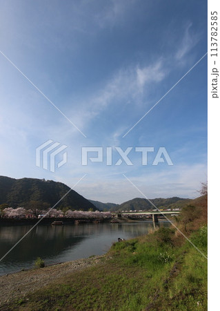 『錦帯橋とサクラ』桜 アップ 山口県岩国  #日本観光　Kintai Bridge 　 113782585