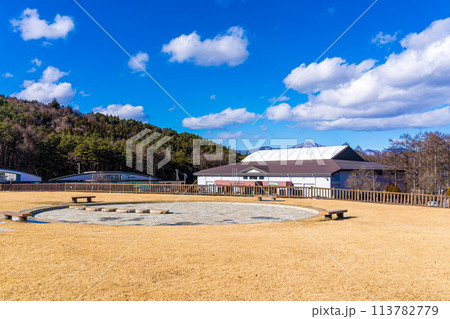山梨の富士山の麓の公園 113782779