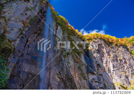 (長野県)紅葉期の米子大瀑布 (長野県)紅葉期の米子大瀑布 113782809
