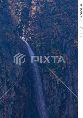 （長野県）紅葉期の米子大瀑布 113782818