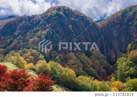（長野県）紅葉期の米子大瀑布 113782819