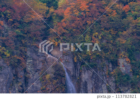 (長野県)紅葉期の米子大瀑布 (長野県)紅葉期の米子大瀑布 113782821