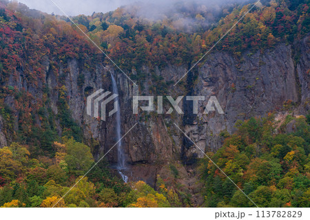 (長野県)紅葉期の米子大瀑布 (長野県)紅葉期の米子大瀑布 113782829