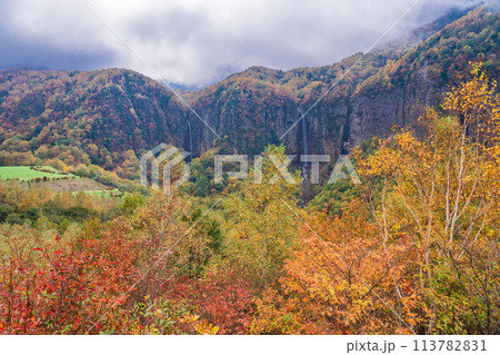 （長野県）紅葉期の米子大瀑布 113782831