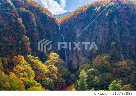 (長野県)紅葉期の米子大瀑布 (長野県)紅葉期の米子大瀑布 113782852