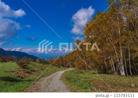 (長野県)米子大瀑布・登山道 (長野県)米子大瀑布・登山道 113783111
