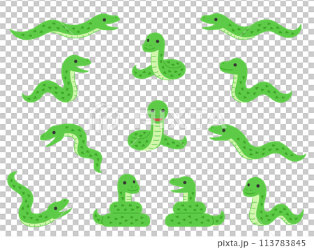 Snake character illustration 113783845