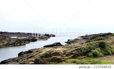 神奈川県三浦市城ケ島の海岸の風景 神奈川県三浦市城ケ島の海岸の風景 113784014