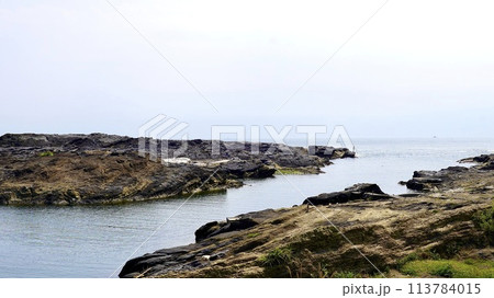 神奈川県三浦市城ケ島の海岸の風景 神奈川県三浦市城ケ島の海岸の風景 113784015