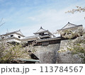 春の松山城 113784567
