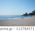 晴れにきらめく桂浜 113784571