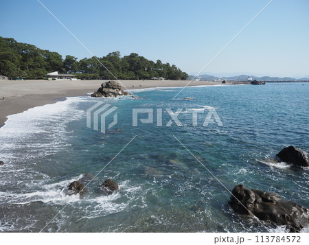 青く透き通る桂浜 113784572