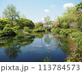 モネの庭が映す景色 113784573