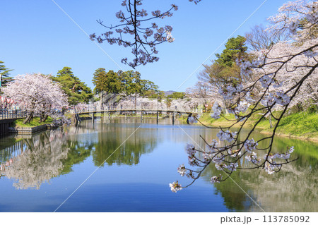 桜満開の高田城址公園 113785092