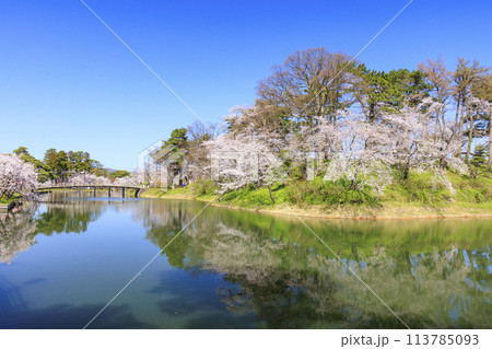 桜満開の高田城址公園 桜満開の高田城址公園 113785093