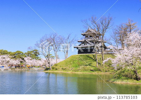 桜満開の高田城址公園 桜満開の高田城址公園 113785103
