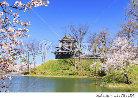 桜満開の高田城址公園 113785104