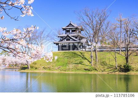 桜満開の高田城址公園 113785106