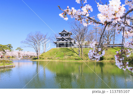 桜満開の高田城址公園 113785107