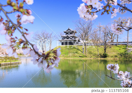 桜満開の高田城址公園 113785108