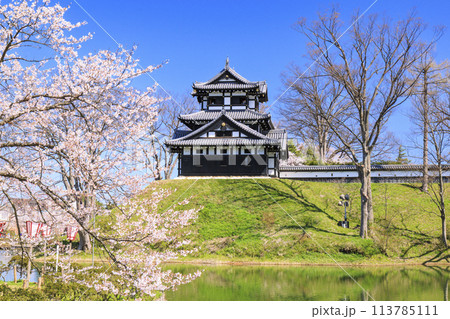 桜満開の高田城址公園 113785111