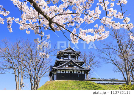 桜満開の高田城址公園 113785115