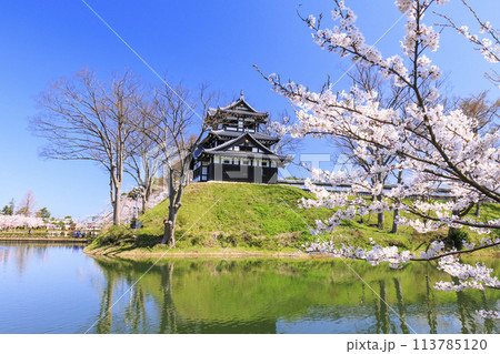 桜満開の高田城址公園 113785120