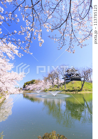 桜満開の高田城址公園 113785125