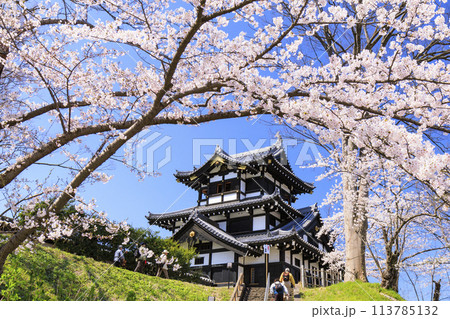 桜満開の高田城址公園 桜満開の高田城址公園 113785132