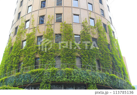 旧大阪マルビル/大阪府大阪市北区梅田1丁目 旧大阪マルビル/大阪府大阪市北区梅田1丁目 113785136