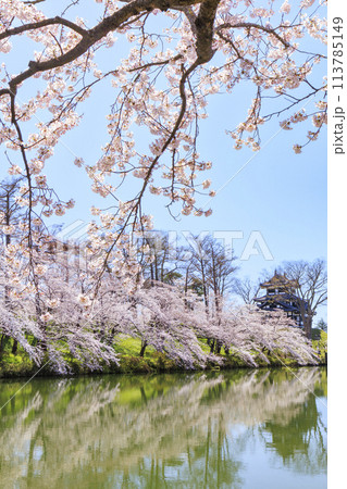 桜満開の高田城址公園 113785149
