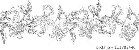 Wild roses flower with leaves seamless boarder. Black ink line art hand drawn illustration for card, logo or wedding invitations. Elegance vector, isolated on white background 113785446