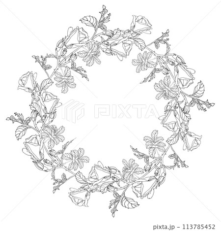 Wild roses flower with leaves circle wreath. Black ink line art hand drawn illustration for card, logo or wedding invitations, coloring book. Elegance vector, isolated on white background 113785452