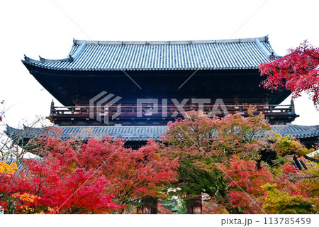 紅葉に包まれる南禅寺三門　京都の紅葉の名所　紅葉の絶景スポット 113785459