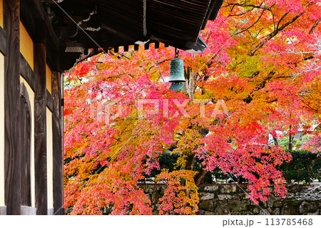 紅葉に包まれる南禅寺法堂　京都の紅葉の名所　紅葉の絶景スポット 113785468