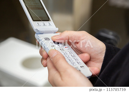 ガラケーを操作する若い女性の手元 113785739