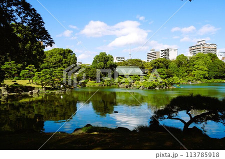 静寂に包まれた初春の清澄庭園 静寂に包まれた初春の清澄庭園 113785918