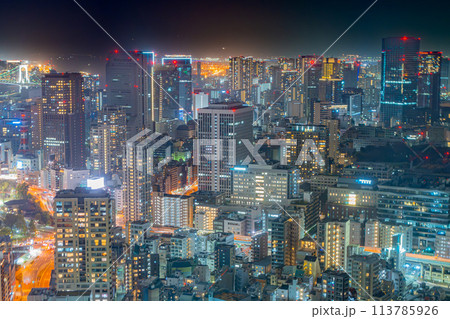 美しい東京の夜景 城南方面 港区 美しい東京の夜景 城南方面 港区 113785926