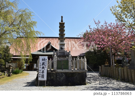 春の櫻本坊　奈良 113786063