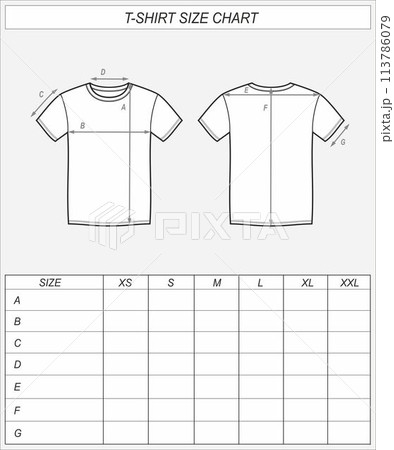 Tshirt size chart. T shirt front and back 113786079
