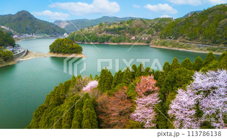 ドローンで撮影したダム 113786138