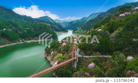 ドローンで撮影したダム 113786143