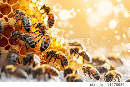 A cluster of bees swarming around a honeycomb, busily collecting nectar and creating honey in their hive 113786264