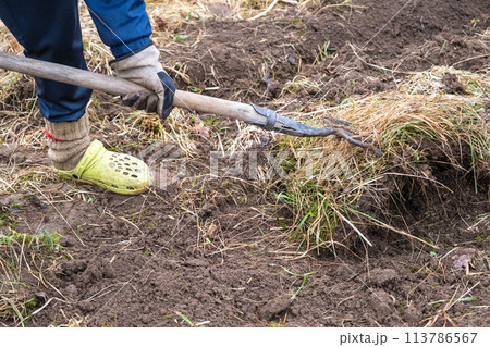 Using a shovel to plant in the soil for gardening purposes Using a shovel to plant in the soil for gardening purposes 113786567