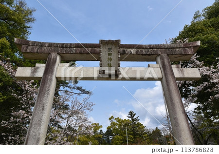 春の武田神社 山梨 春の武田神社 山梨 113786828