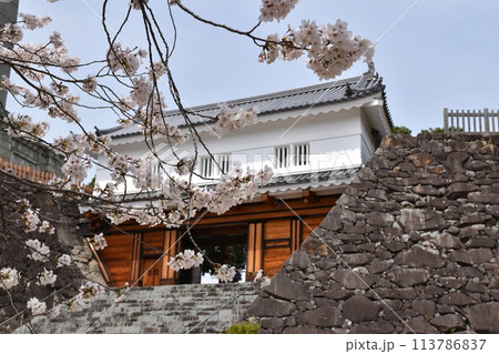甲府城鉄門と満開の桜 山梨 甲府城鉄門と満開の桜 山梨 113786837