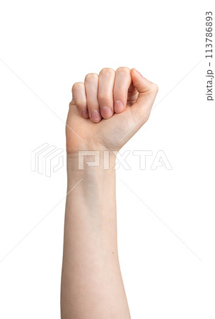 Clenched fingers, fist raised up, hand gesture isolated on white background Clenched fingers, fist raised up, hand gesture isolated on white background 113786893